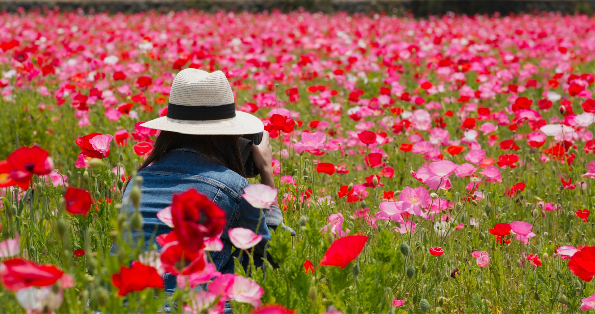manage seasonal allergies with tech like best life app for pollen tracking concept image